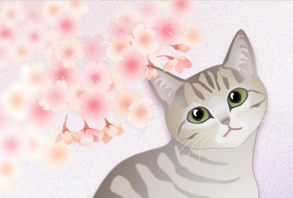 画像1: may's shop 縁側：ポストカード【桜とキジ猫　横】 (1)